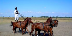 A fotó illusztráció. Forrás: Pixabay.com