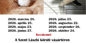 Kisállatvásár Kecskemét 2026 - Díszállatok és haszonállat vására