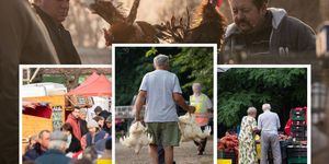 Jászapáti vásárok 2026 – Állatvásárok és kirakodóvásárok 