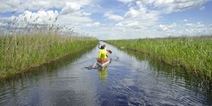 Balf programok 2026 - Események, rendezvények