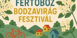 Bodzavirág Fesztivál Fertőboz 2026