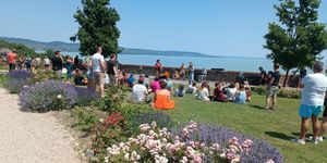 Tihanyi Pünkösd 2026 - Programok, események