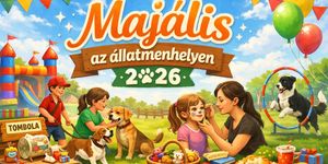 Majális Balatonszabadi 2026 - Majálisozz idén is az állatmenhelyen!