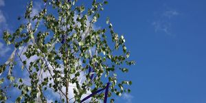 A kép illusztráció