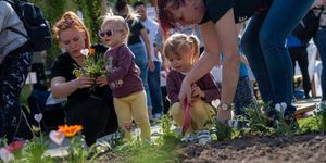 Anyák napi program Monor 2026 - Anyák napi virágültetés