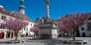 Pünkösdi hosszú hétvége Sopronban és környékén 2026 – Borünnep, tematikus séták és ünnepi programok