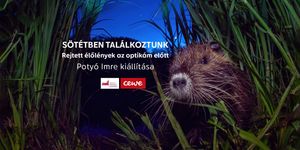 Gödöllői Királyi Kastély kiállítás 2026