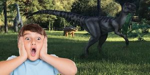 Sirok programok 2026 - Események, rendezvények