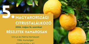 Magyarországi Citrustalálkozó 2026 Kunsziget