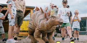 KÖKI  Bevásárlóközpont programok 2026 Budapest - Események, rendezvények