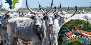 Puszta ízei kóstoló program 2026 - Puszta Kincsei Gasztro Élményhét a Tisza Balneum Hotelben