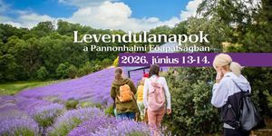 Levendulanapok Pannonhalma 2026