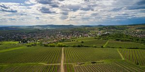 Mádi programok 2026 - Események, rendezvények Mádon