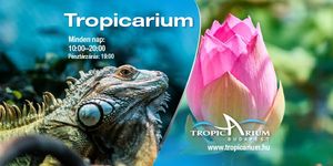 Tropicarium