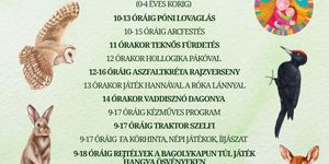 Szarvasi programok 2026 - Események és rendezvények
