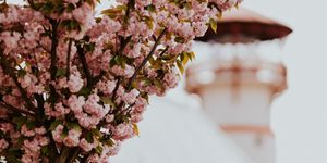 Orosháza Pünkösd 2026 - wellness élmények és ünnepi programok Orosháza - Gyopárosfürdőn