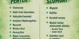 Kocsitoló Verseny és Fesztivál Kocs 2026
