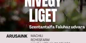 Piac Szentantalfa 2026 - Nivegy Liget Helyi termelői és kézműves piac