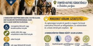 Fogyatékkal Élő Kutyák Országos Találkozója 2026 Fonyód - FÉKOT Balaton