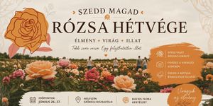 Rózsa szedés 2026- Szedd magad rózsa Szőregen