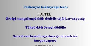 Batha Porta programok 2026 Szalafő