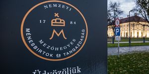 Mezőhegyesi Ménesbirtok látogatás