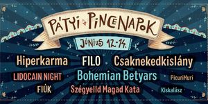 Pátyi Pincenapok 2026