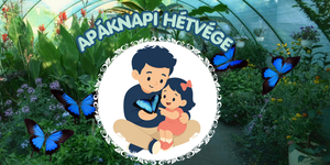 Apák napi családi program a Motobutterfly Lepkekertben a színpompás trópusi lepkék között