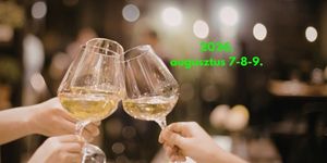 Tolcsvai Borfesztivál 2026 - Tolcsvay Borparty