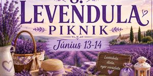 Levendula Piknik Szatymaz 2026