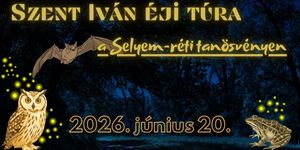 Szent Iván-éji túra Ócsa 2026 - Az éjszakai erdő