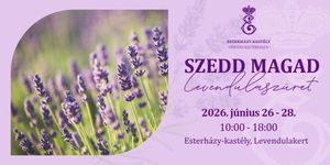 Levendulaszüret Fertőd 2026