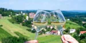 Vinarium Fesztivál 2026 Lendva