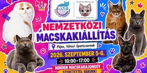 WCF Nemzetközi macskakiállítás 2026 Pápa