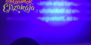 Veszprémi Múzeumok Éjszakája 2026 -  A Gizella Királyné Múzeum és a Veszprémi Érsekség programjai 