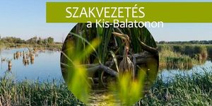 Kis-Balaton túrák szakvezetéssel 2026
