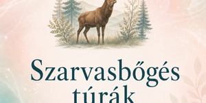 Szarvasbőgés túrák 2026