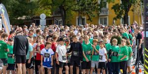 Várpalotai Félmaraton 2026