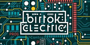 Birtok Electric 2026 Palkonya