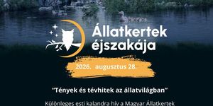 Állatkertek Éjszakája Veresegyház 2026 – esti kaland a Medveotthonban