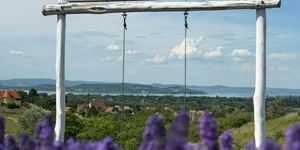 Kőröshegyi Tulipán & Levendula Park programok 2026
