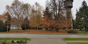 Bábolnai programok 2026 - Események, rendezvények