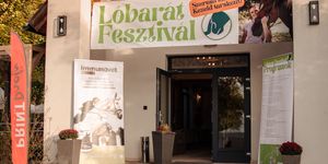 Lóbarát Fesztivál 2026 Vanyarc