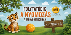 Családi nap Veresegyház 2026 - Nyomozós játék a Medveotthonban