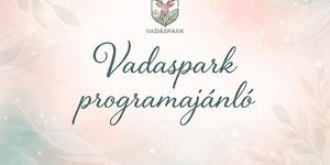 Hatvani Vadaspark programok 2026