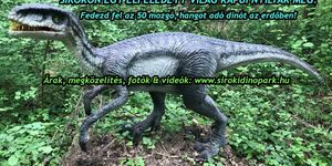 Dinó Park Sirokon, egy szuper program az egész családnak játékokkal kicsiknek és nagyoknak!
