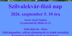 Szilvalekvárfőző nap 2026 Gyomaendrőd