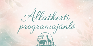 Gyöngyösi Állatkert programok 2026