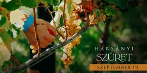 Harsányi Szüret 2026 Sárospatak