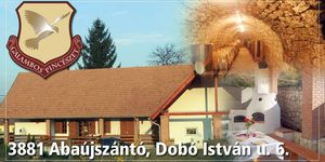 Boros hétvége programok a Tokaji borvidéken, borkóstolós és dűlőtúrás hétvégék kastély- és várlátogatásokkal
